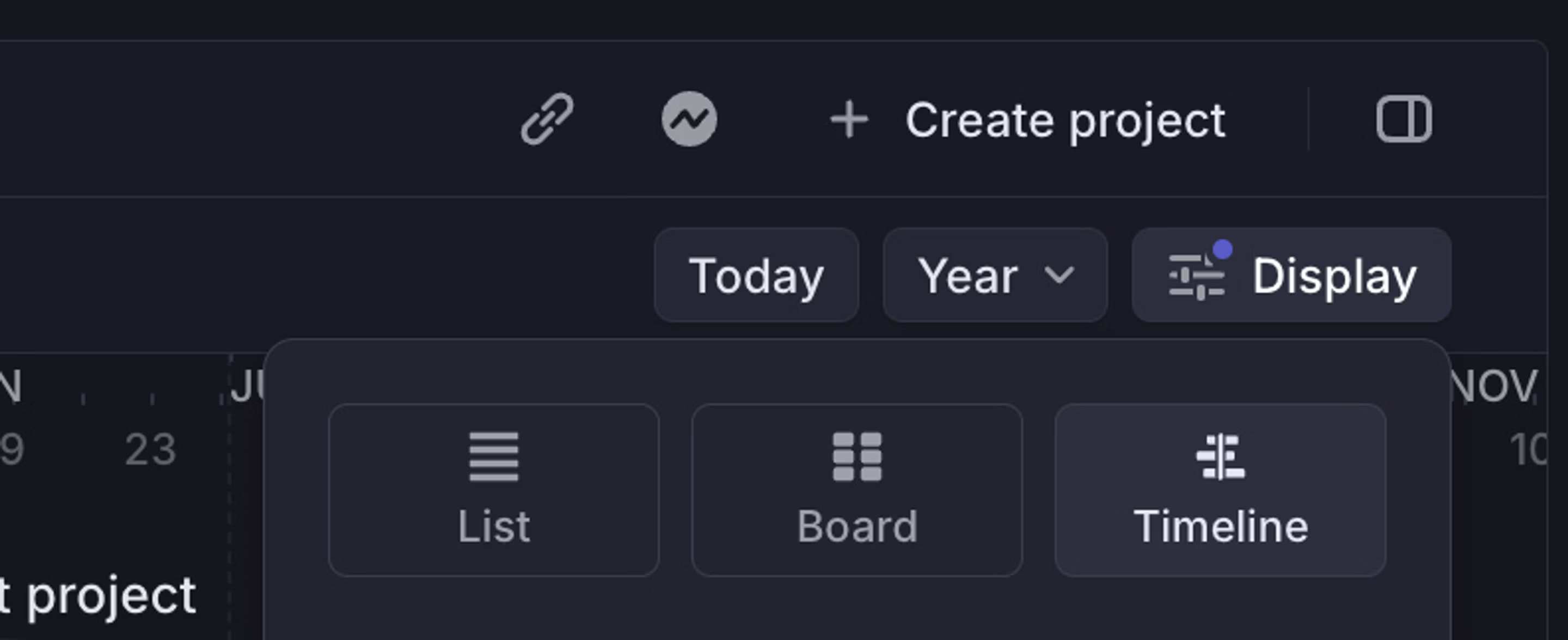Project display options