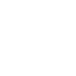 Sinatra logo