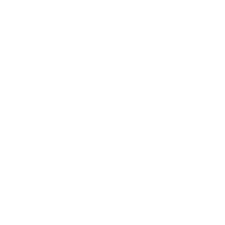 LineGuard logo