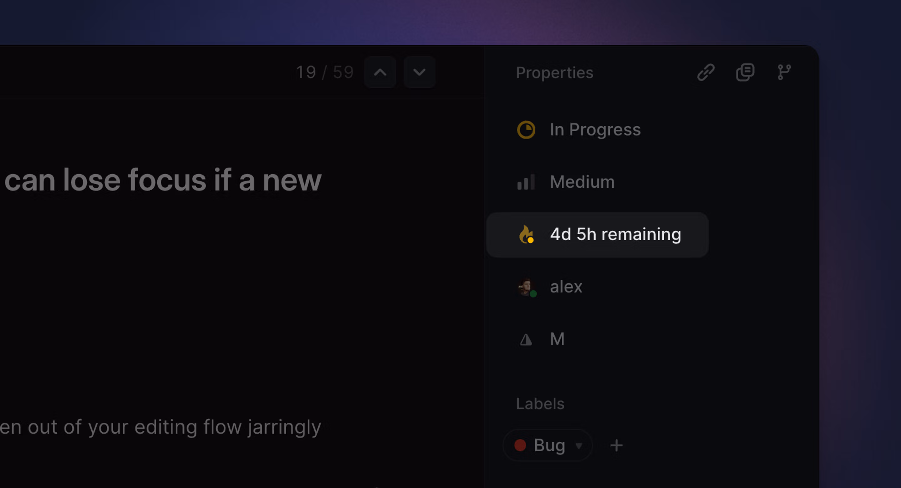 Issue screen showing medium risk SLA