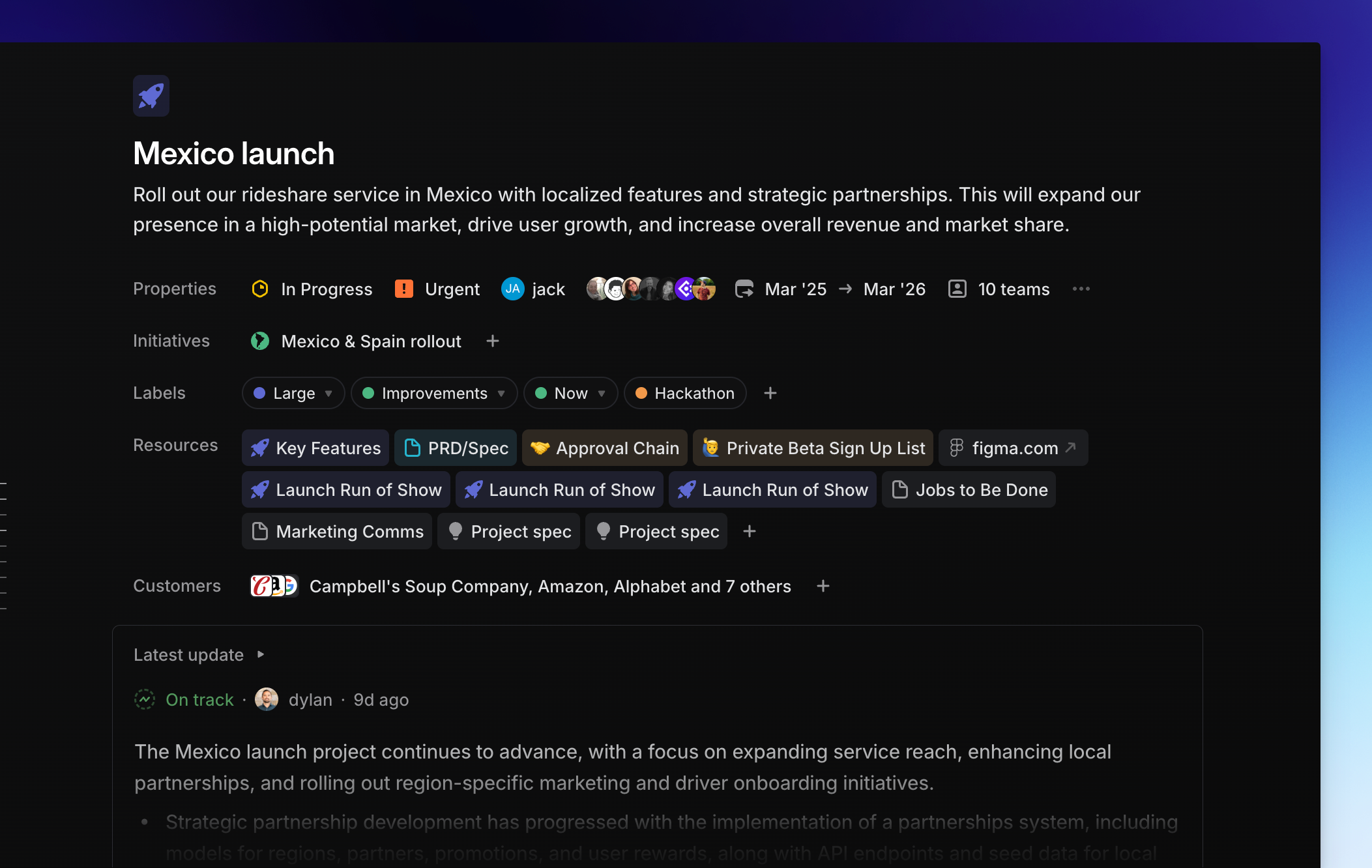 Project overview in Linear