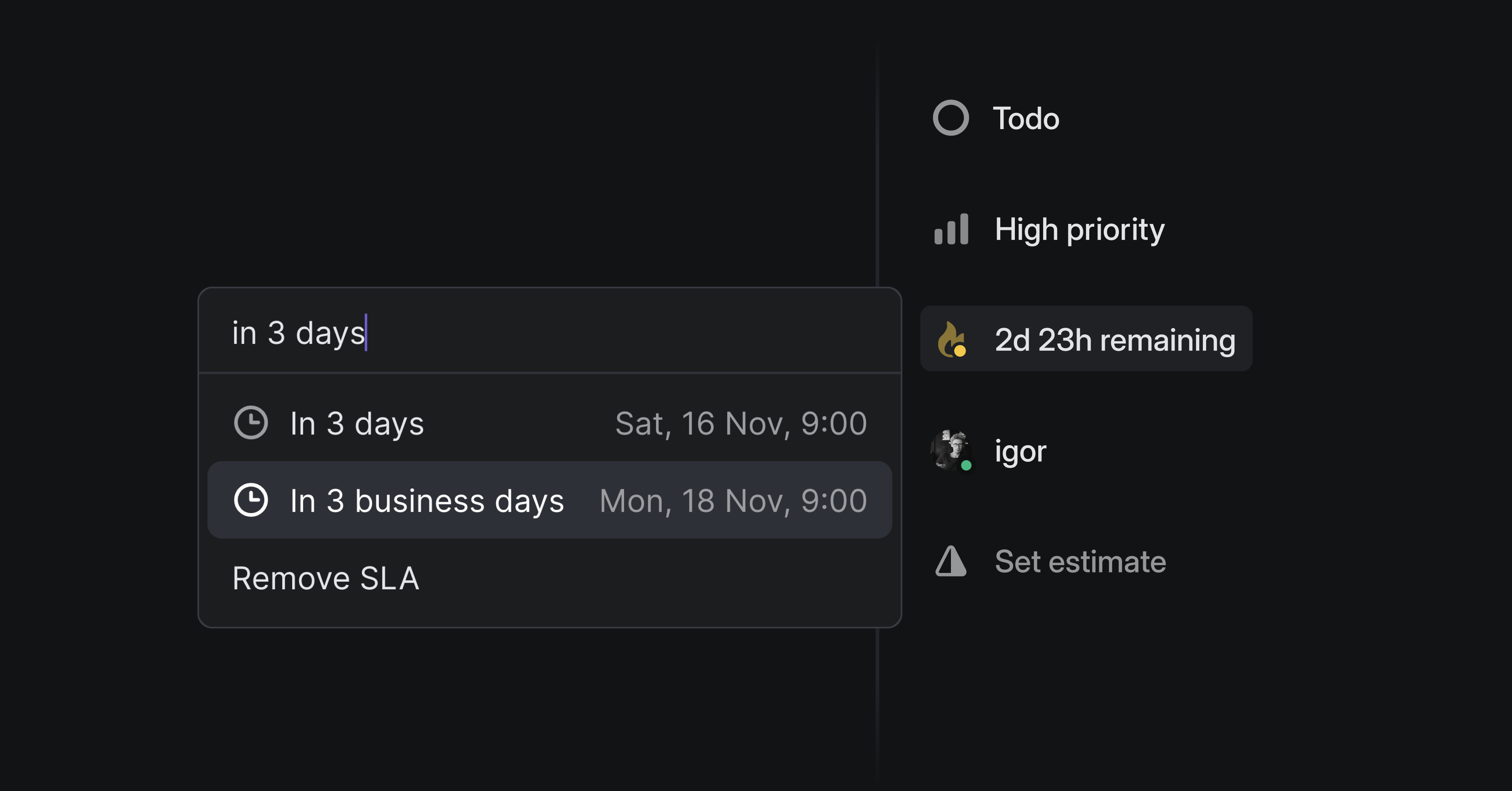 View of issue with SLA that can be set for 3 days (due Saturday) or 3 business days (due Monday)