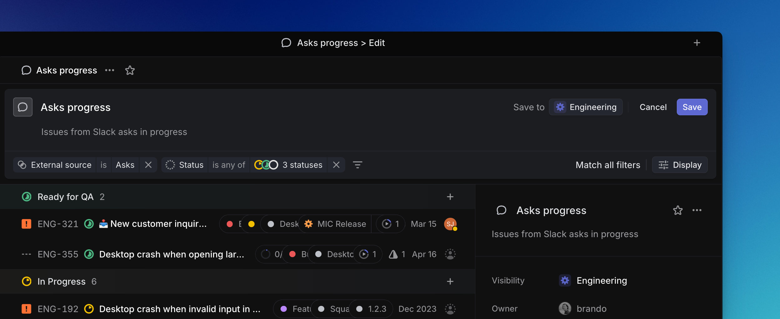 Issue and Project Views