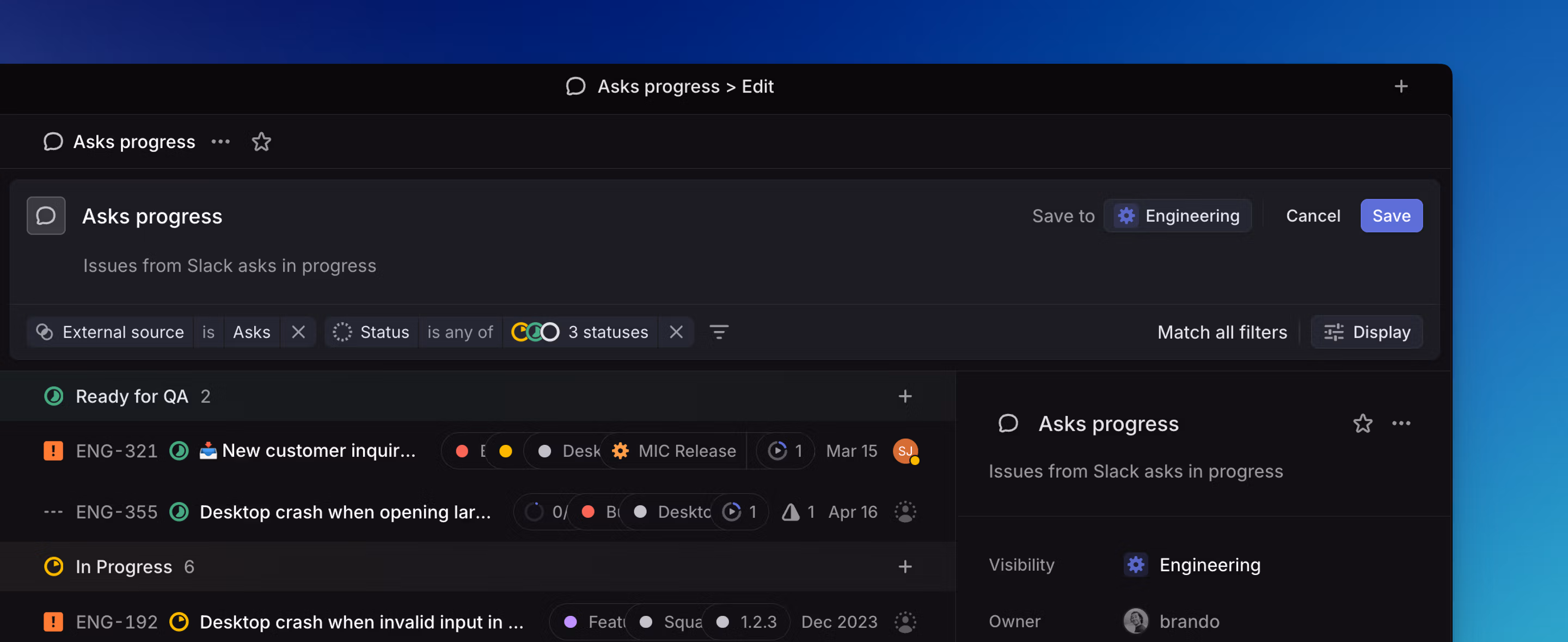 Issue and Project Views