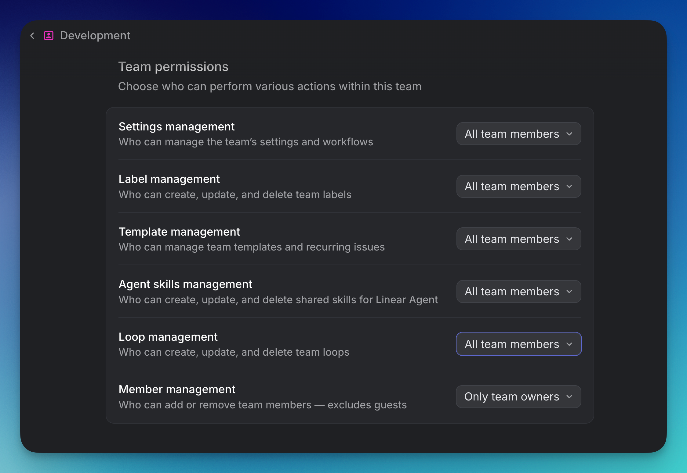 Manage Loops Access on a Team