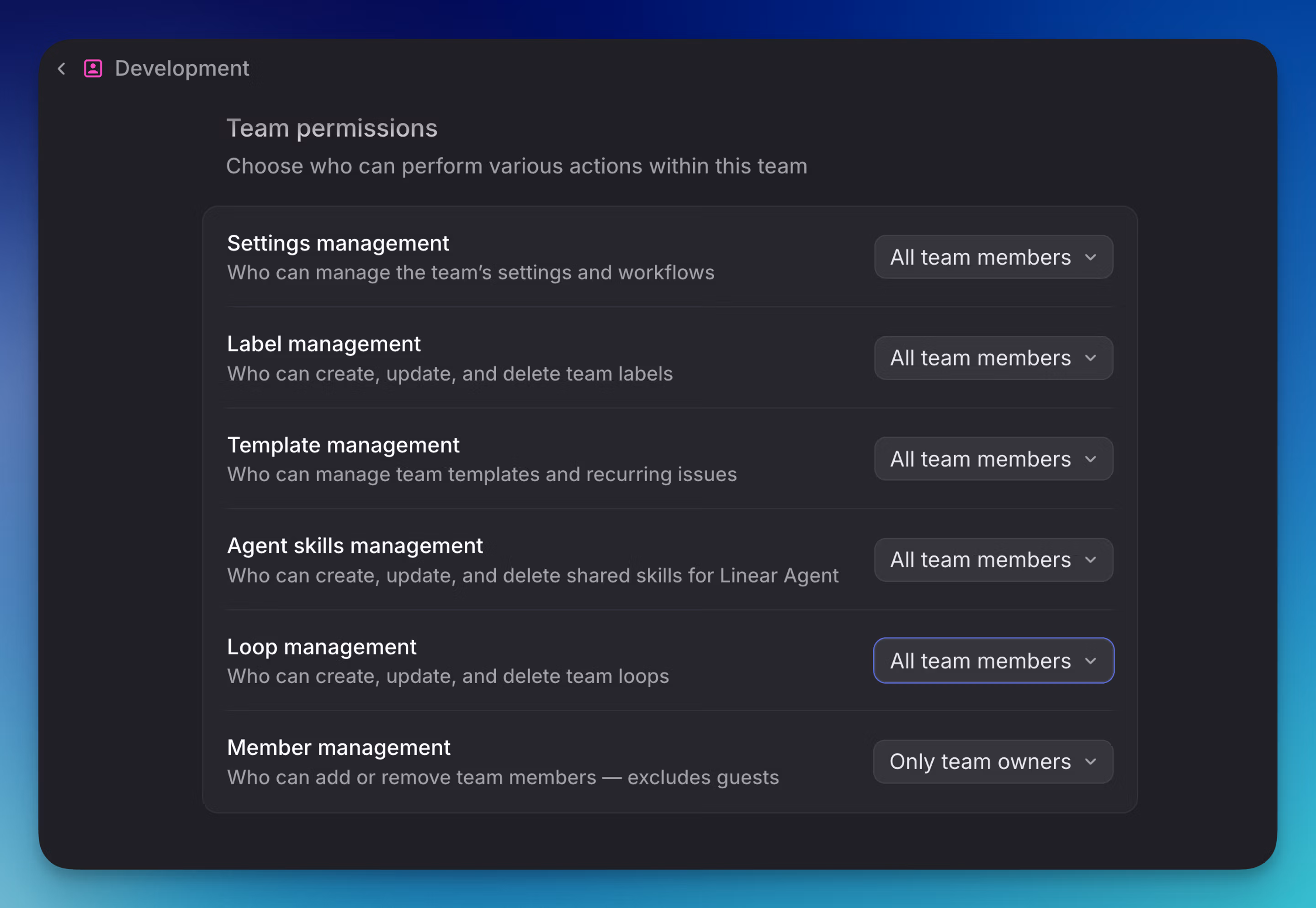 Manage Loops Access on a Team