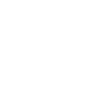 Minds logo