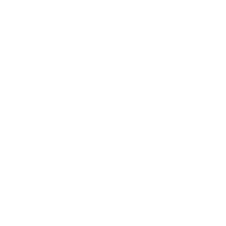 Ponte Digital logo