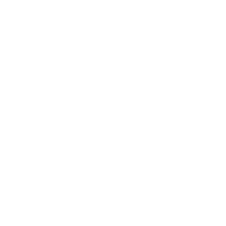 Aldena logo