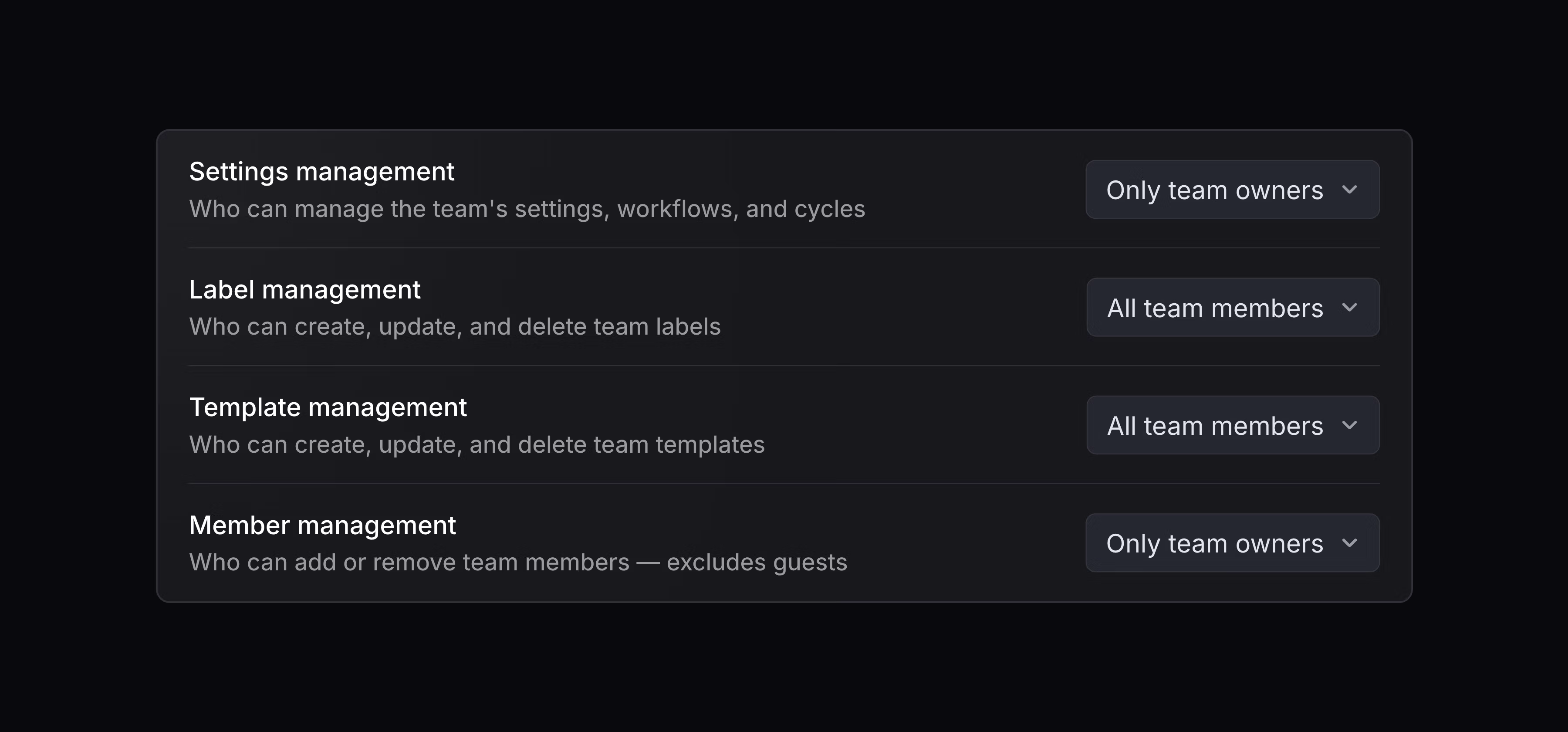 Team settings permissions panel showing controls for settings management, label management, template management, and member management, with most actions restricted to team owners.