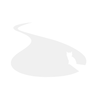 SpecStream logo