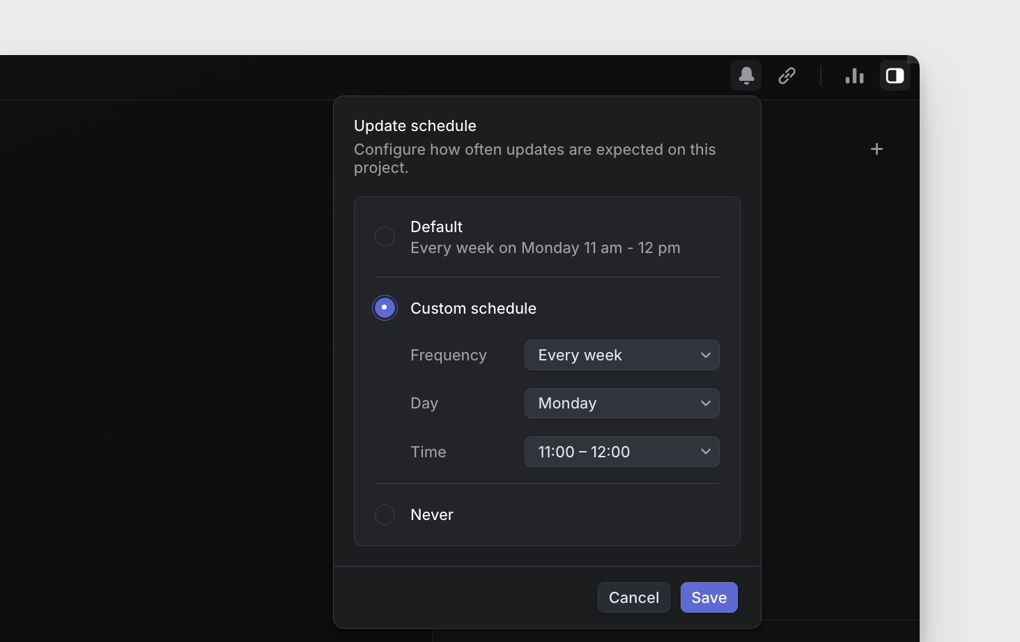 custom schedule settings for project updates