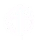 BetterBugs logo